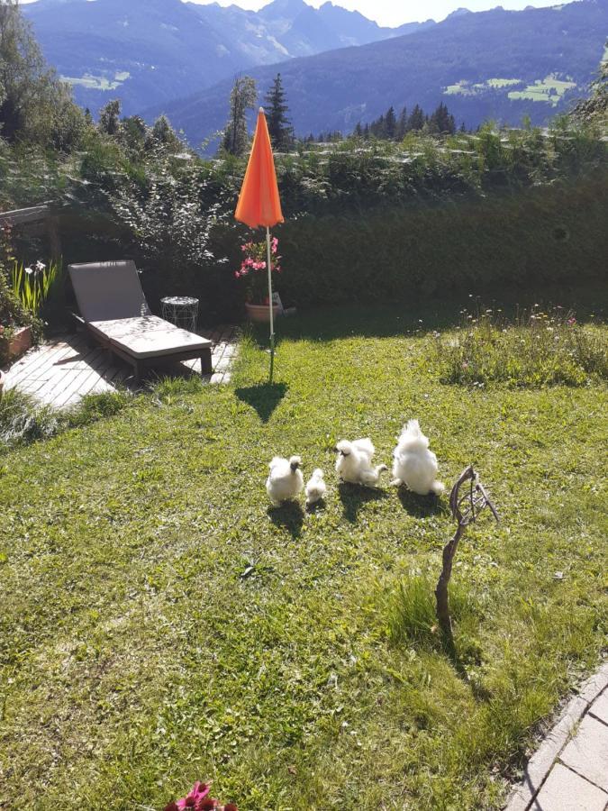 Appartement Heidi By Schladmingurlaub Ramsau am Dachstein Extérieur photo